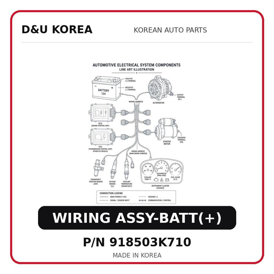 WIRING ASSY-BATT(+)