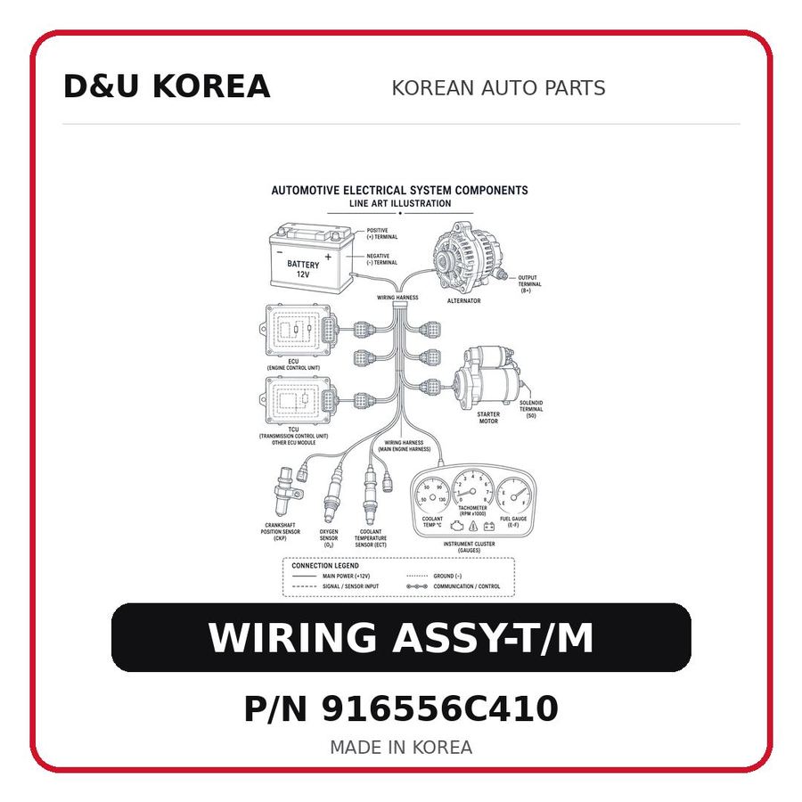WIRING ASSY-T/M