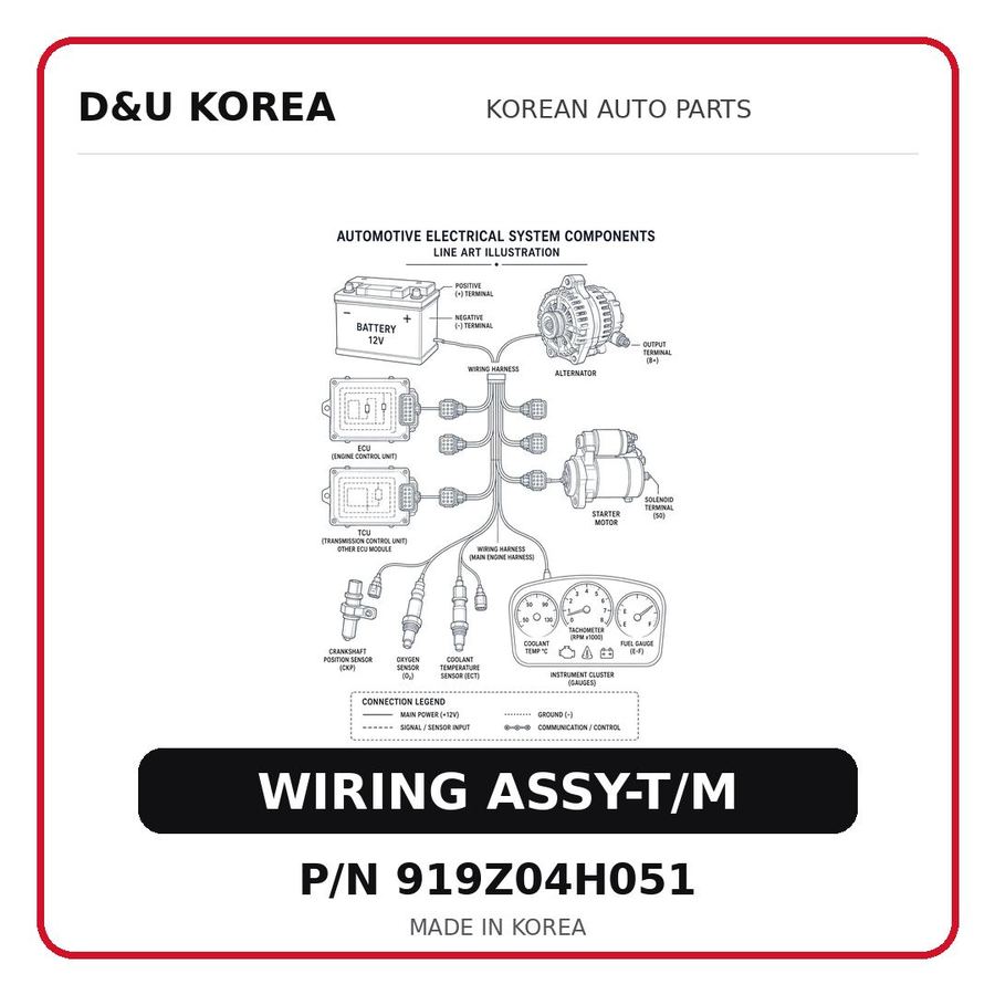 WIRING ASSY-T/M