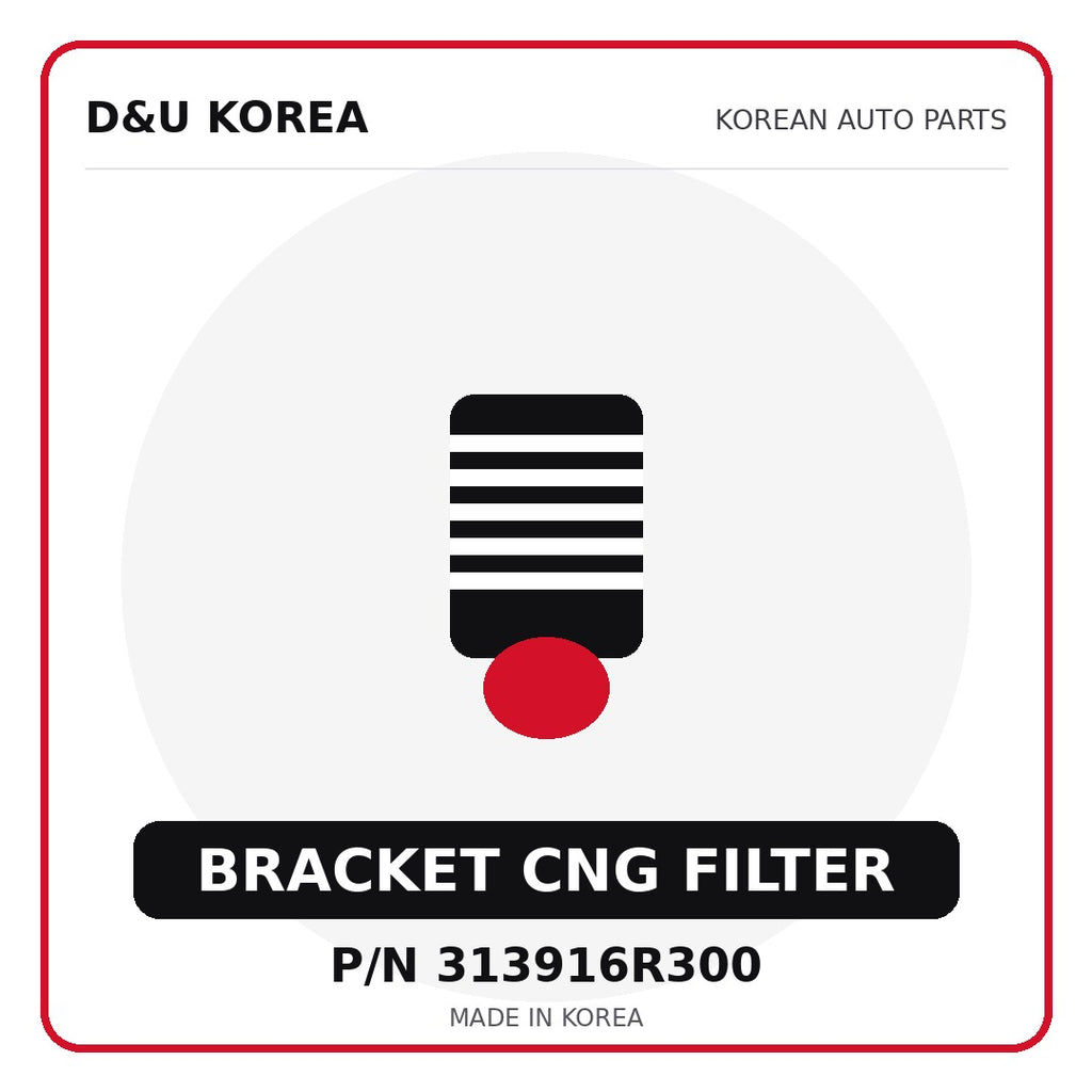 Genuine Mobis BRACKET CNG FILTER 313916R300 - Korean auto parts from D&U Korea