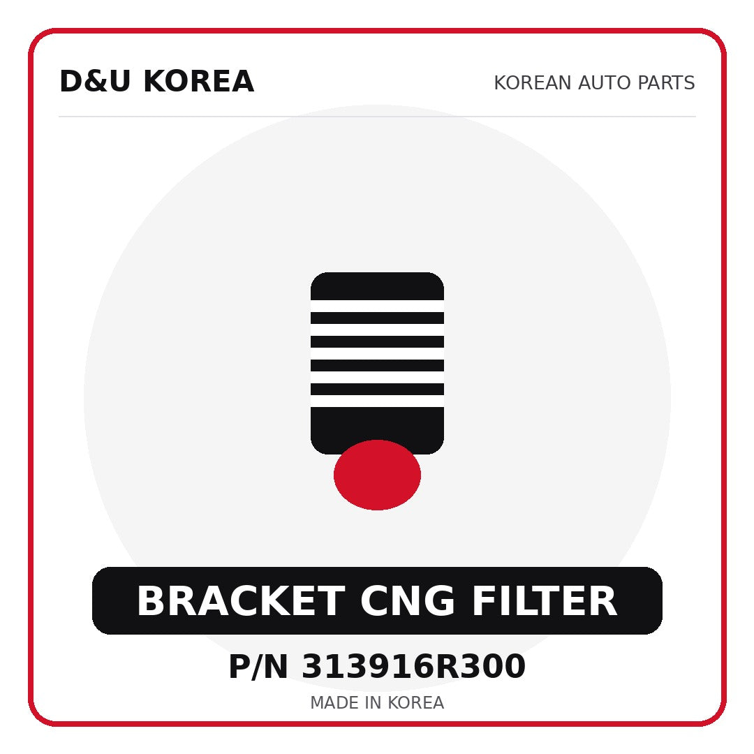 Genuine Mobis BRACKET CNG FILTER 313916R300 - Korean auto parts from D&U Korea
