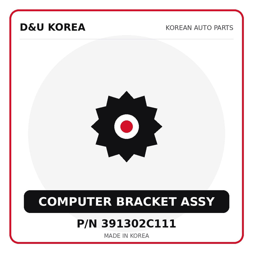 Genuine Mobis COMPUTER BRACKET ASSY 391302C111 - Korean auto parts from D&U Korea