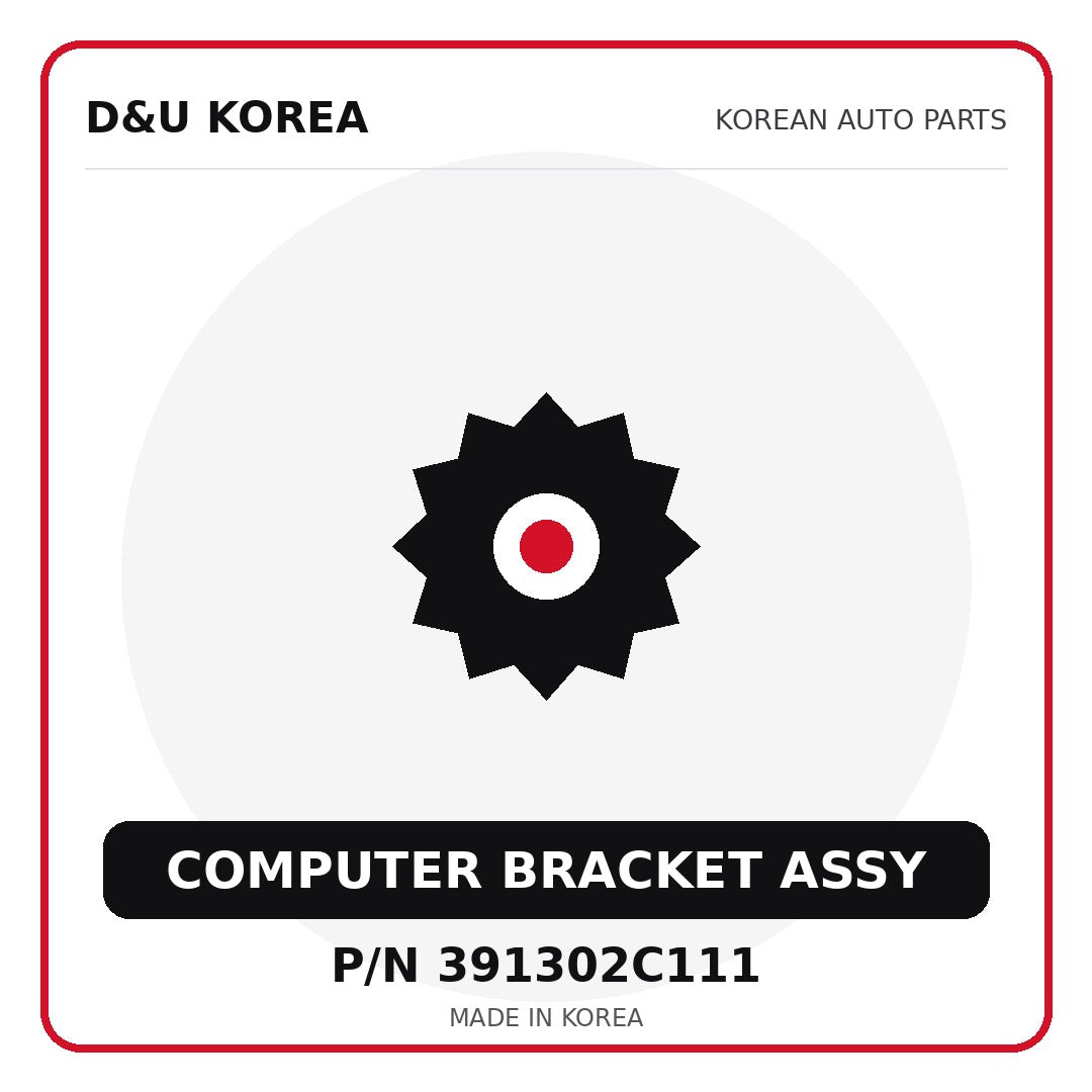 Genuine Mobis COMPUTER BRACKET ASSY 391302C111 - Korean auto parts from D&U Korea