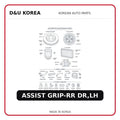 ASSIST GRIP-RR DR,LH