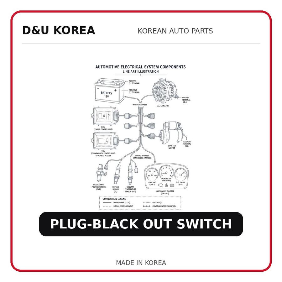 PLUG-BLACK OUT SWITCH
